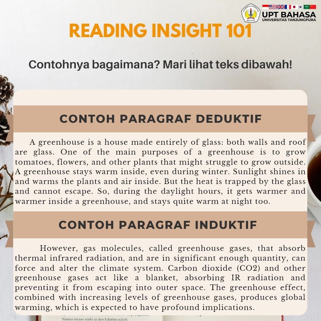 insight 2 reading